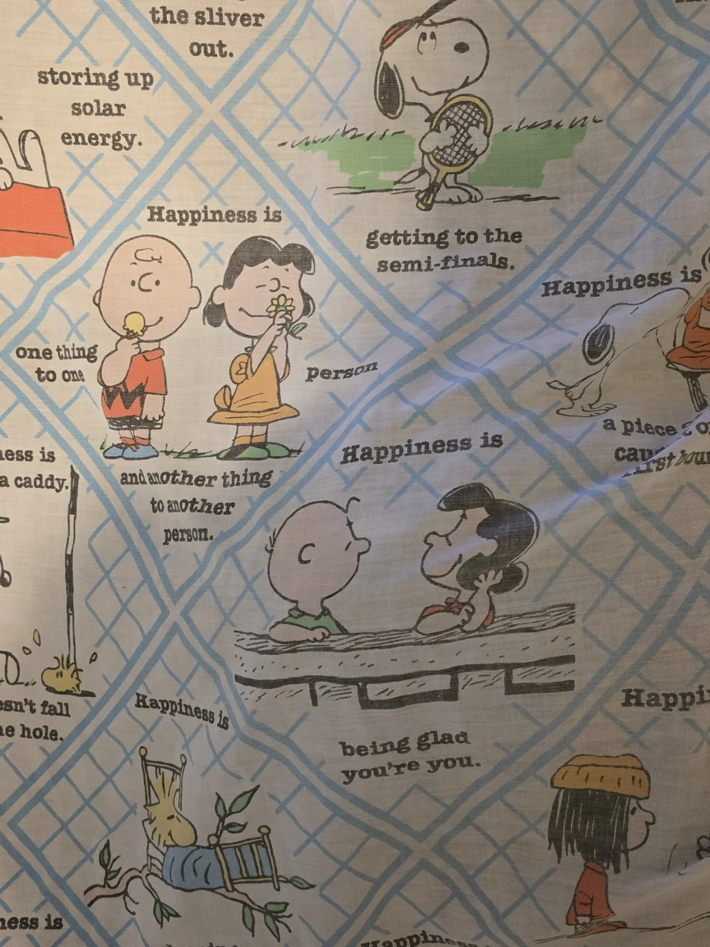 Vintage Peanuts Snoopy Happiness Is Twin Fitted Sheet Charlie Brown Blue Plaid